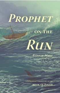 prophet_on_the_run