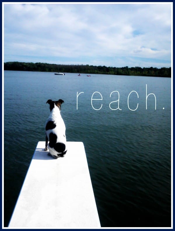 FMF-Reach-600x791