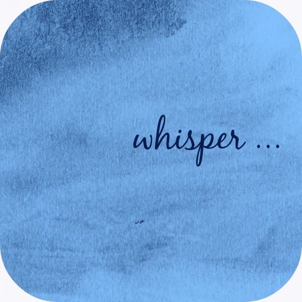 FMF-Whisper-2-600x600