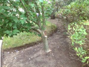 IMG_0458