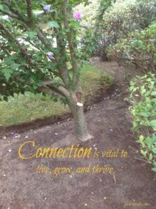 connection