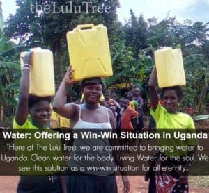 water-filter-main-1