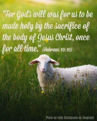 One Sufficient Sacrifice One Sufficient Sacrifice