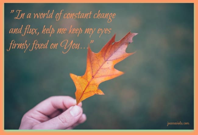 Change & Focus | Joanne Viola
