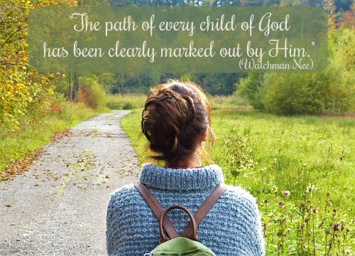 The Clearly Marked Path Joanne Viola