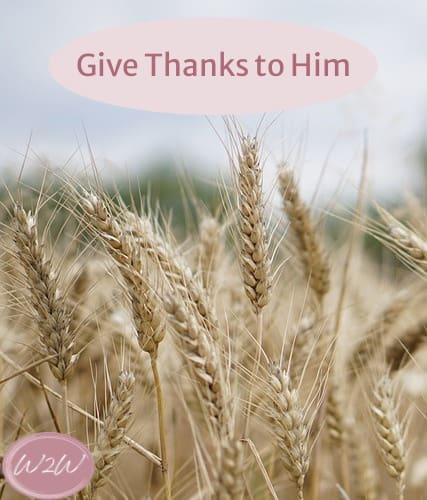 Give Thanks to Him